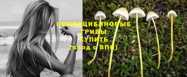 a pvp Нязепетровск