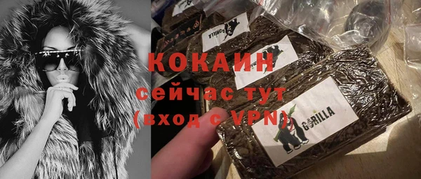 сатива Нягань