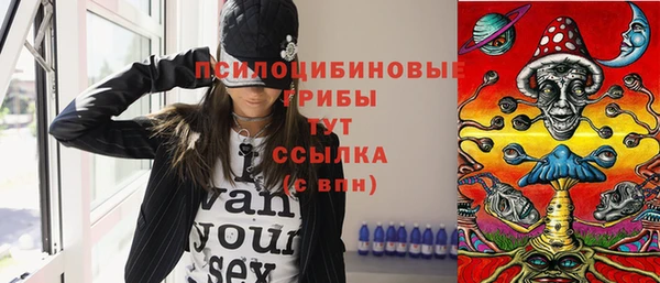 сатива Нягань