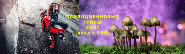 сатива Нягань