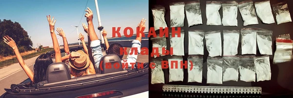 сатива Нягань