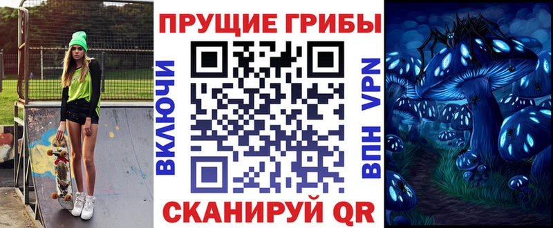 купить   Чебоксары  Псилоцибиновые грибы GOLDEN TEACHER 