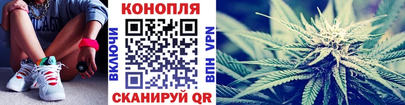 где продают наркотики  Чебоксары  Марихуана сатива 